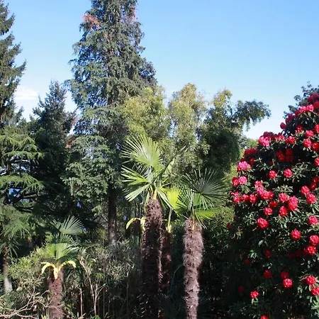 Apartment La Camelia D'oro *