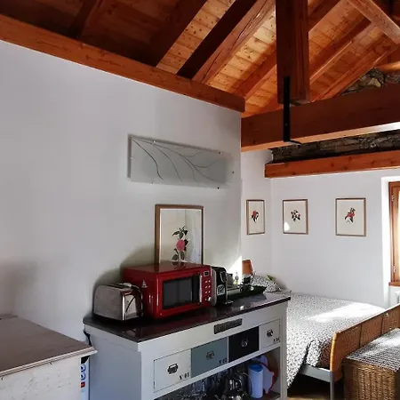 Apartment La Camelia D'oro Oggebio