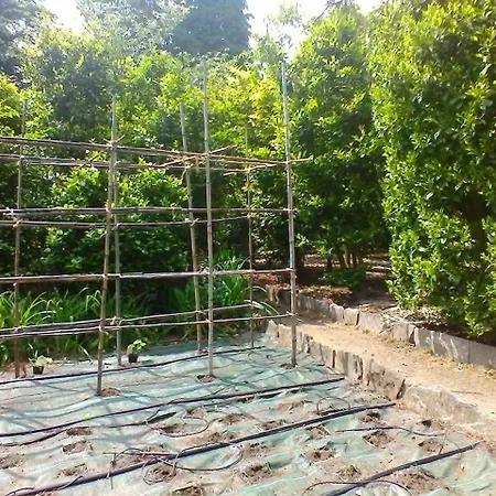La Camelia D'oro Apartment *