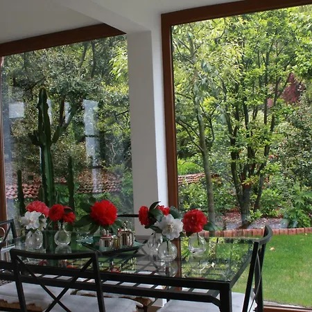 La Camelia D'oro Apartment