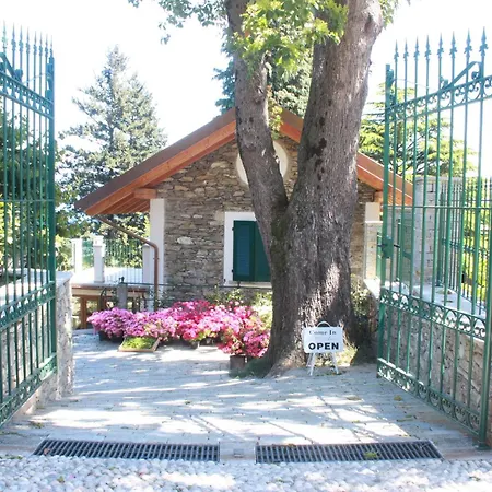 La Camelia D'oro *